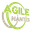 Agilenantes logo