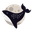 Jumpingrivers logo