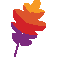 Apache logo